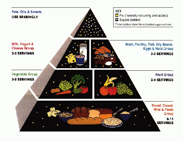 usda food pyramid 2011. USDA Food Pyramid